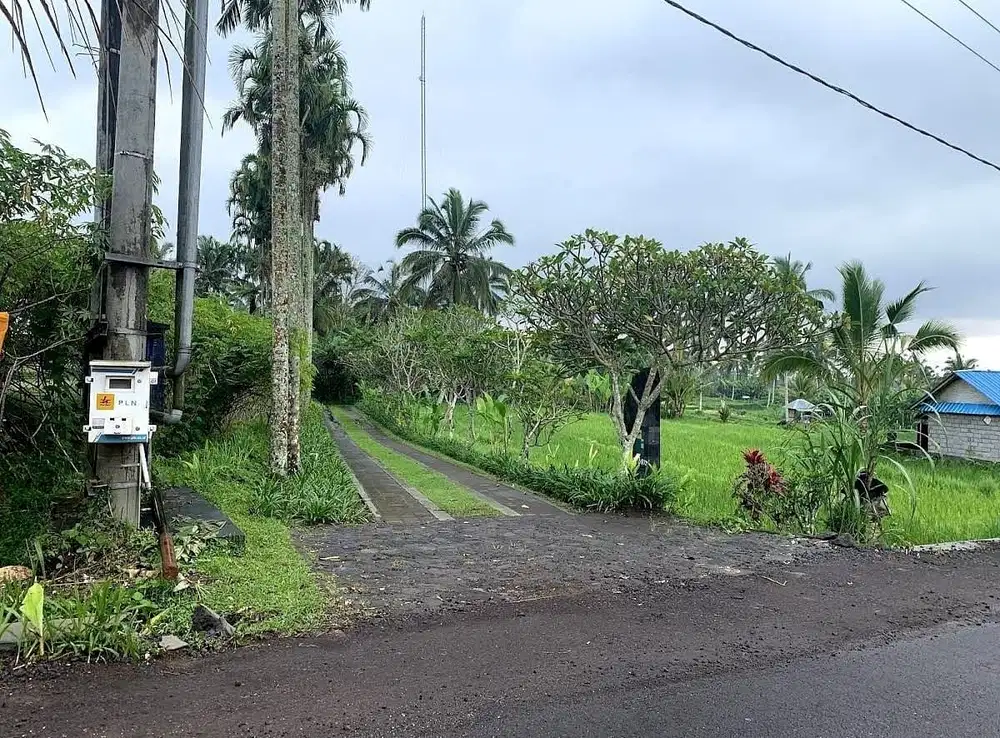 Tanah Murah sebelah Villa Awan Biru Ubud