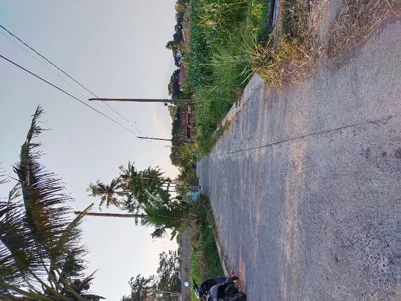 Tanah Asri (dekat Resto Kopi Klotok), jl kaliurang km15, Sleman jogja