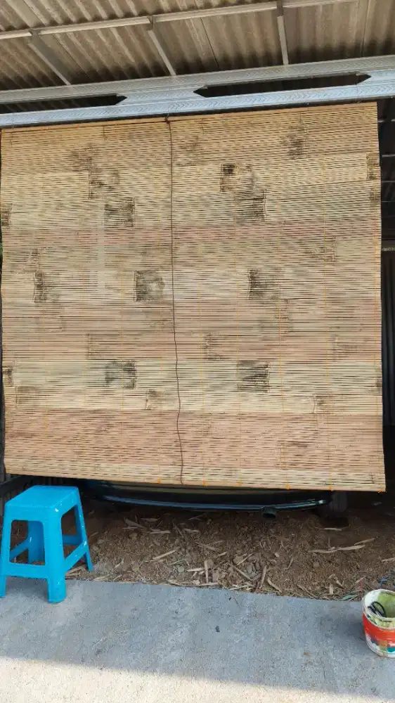 Tirai bambu biasa cod