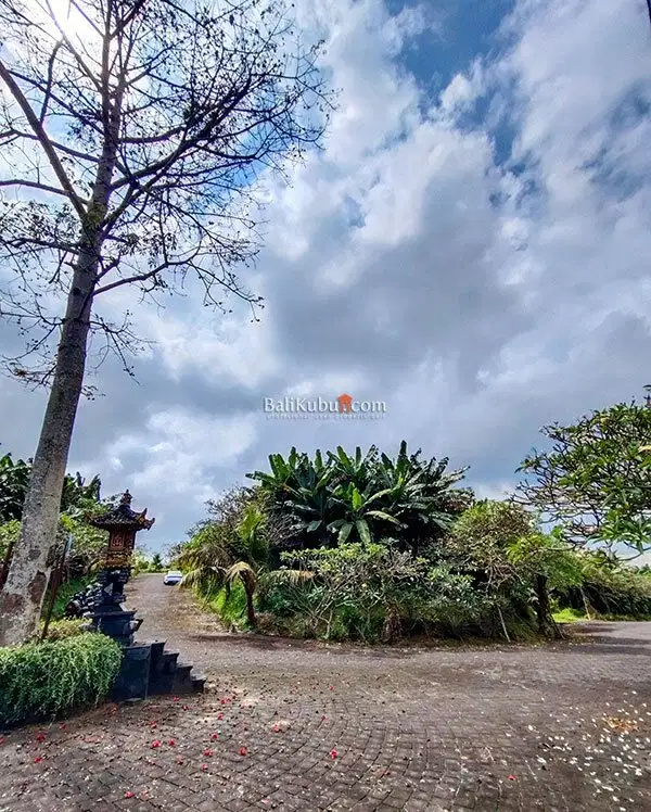 [AMS-067.DRM] Jual Tanah Kavling 1 arean Super Premium Siyut Gianyar