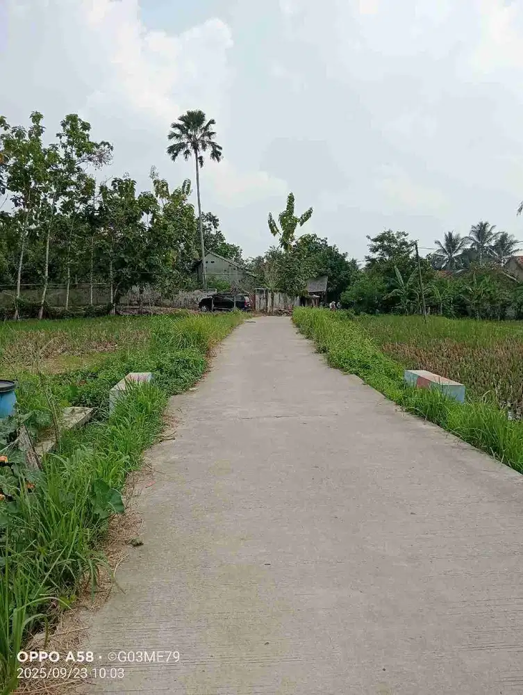 jual tanah buat Villa atau kolam ikan