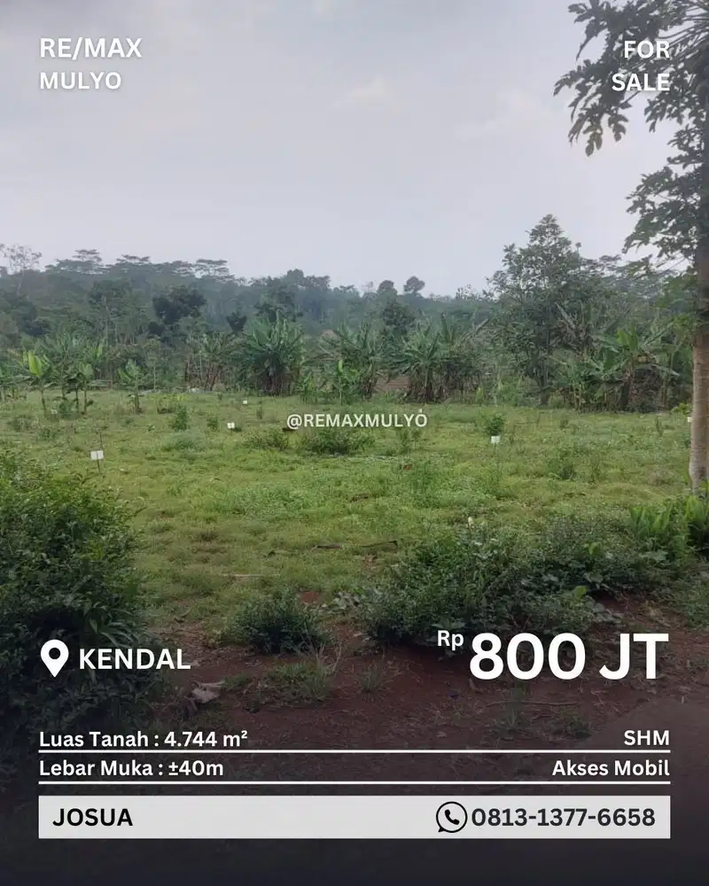 Dijual Tanah Dekat Area Wisata Area Kendal Seluas 4.744 m2