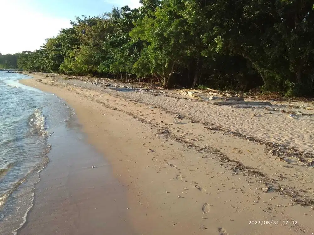 Dijual tanah di pinggir pantai Pulau Bangka pasir putih cocok resort