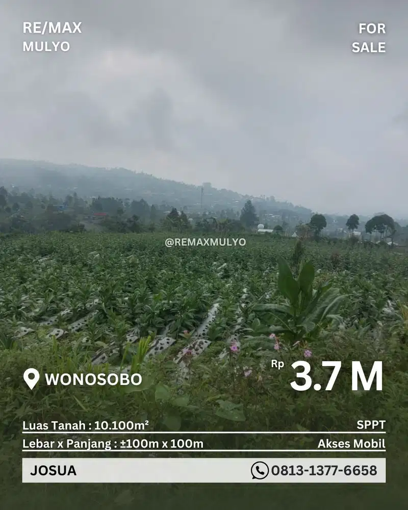 Dijual Tanah Seluas 10.100 m2 Sudah Akses Mobil Area Wisata Wonosobo