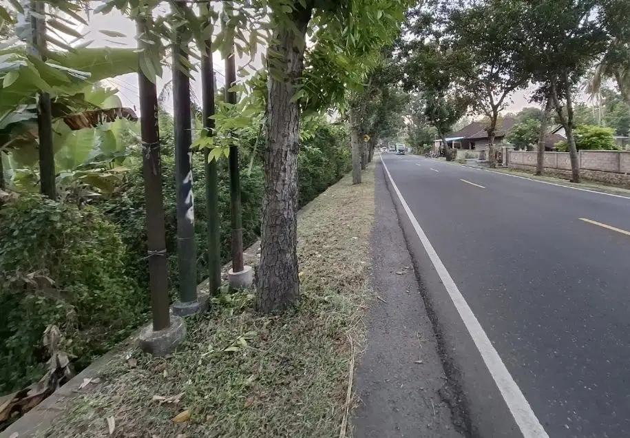 Tanah kontur datar di kabupaten jembrana bali