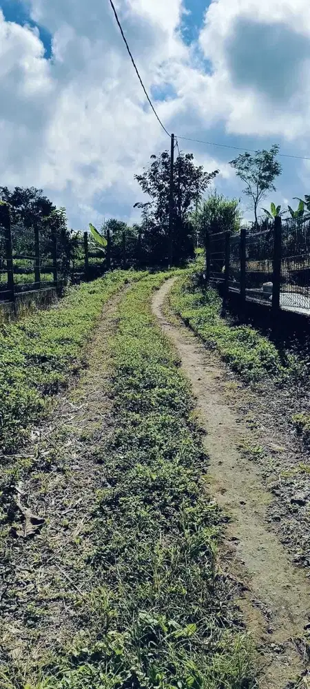 Dijual lahan pertanian produktif yg berlokasi didesa batunya baturiti