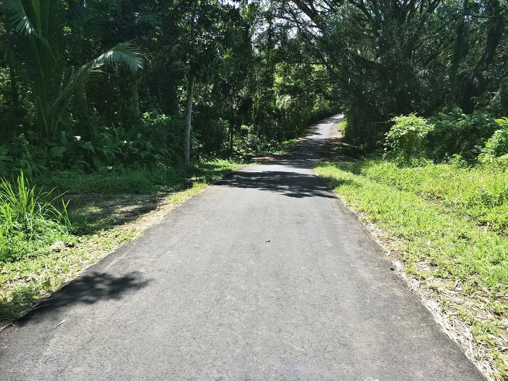 62 are  tabanan cocok investasi atau perumahan