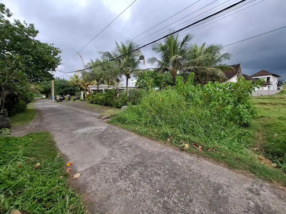 Jual tanah los pantai di pantai surfing medewi