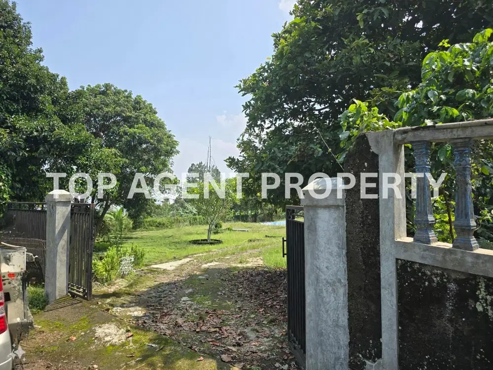 JUAL CEPAT TANAH DEKAT HIGHLAND RESORT, CIAPUS, KABUPATEN BOGOR