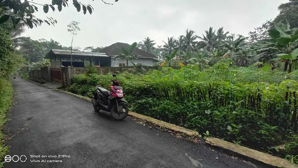 Tanah Murah Lokasi Cocok Untuk Healing