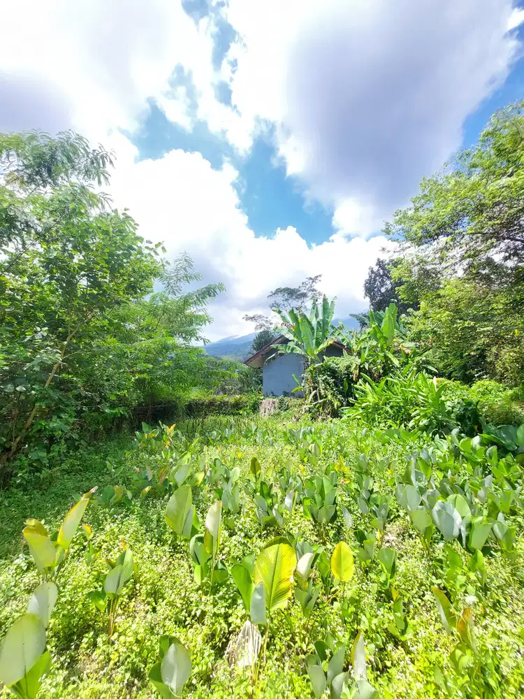 Tanah Di Bogor Cocok Untuk Villa Dekat Tempat Wisata Di Ciapus