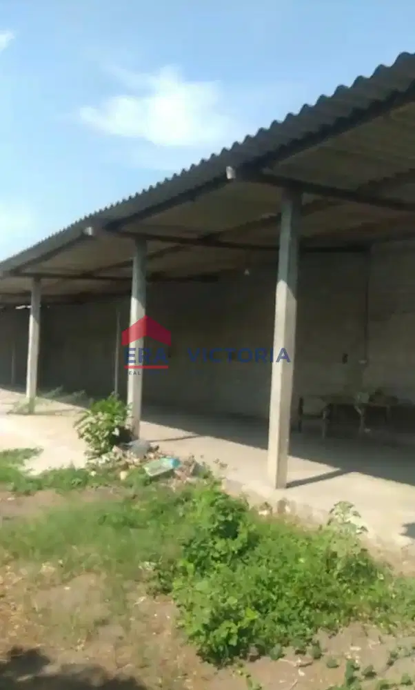 DISEWAKAN Bangunan Kokoh Gudang Di Ngadiluwih Kediri Lokasi Strategis