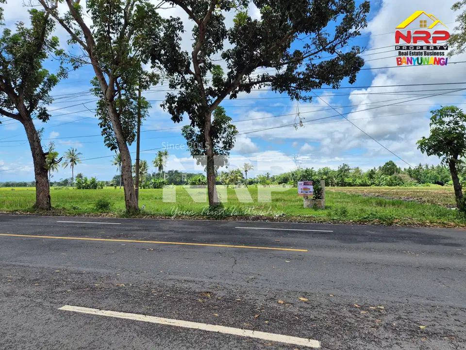 Peluang Investasi Strategis !! Dijual tanah depan POM Kabat, dekat kampus Poltek Banyuwangi.