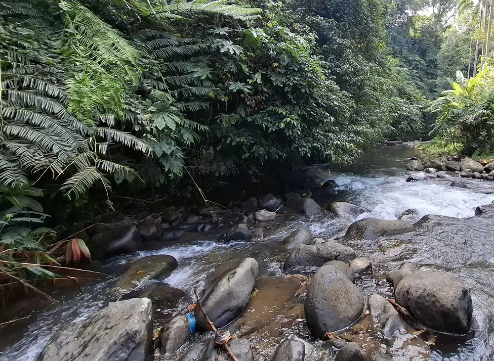 Dijual tanah los sungai view gunung dan sawah