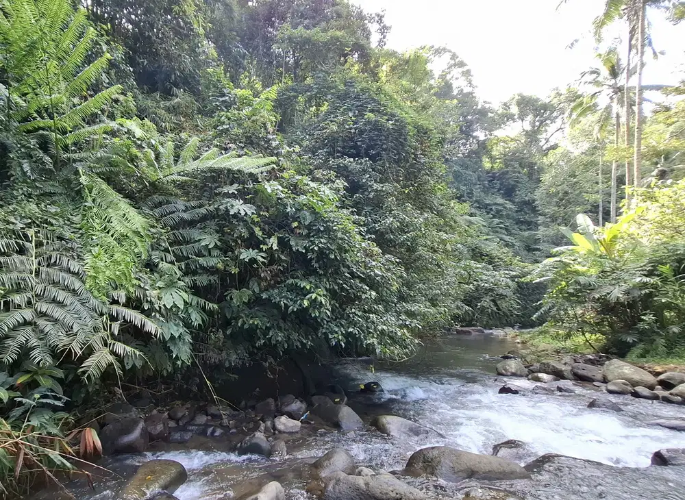 Dijual tanah los air terjun murah di area pariwisata