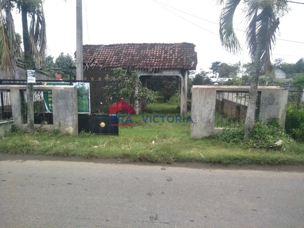Dijual Tanah Kebun Alpukat dan Jeruk di Ngronggot Kab Nganjuk