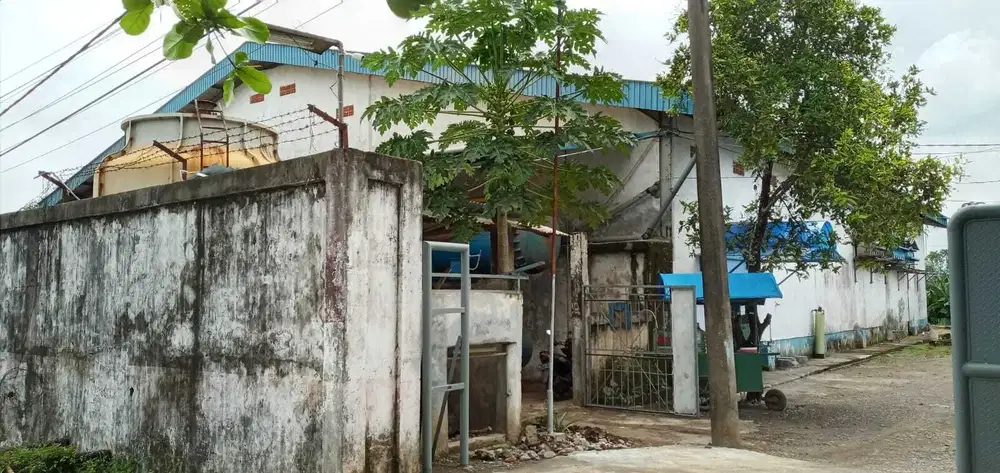 Pabrik ea batu bengkulu