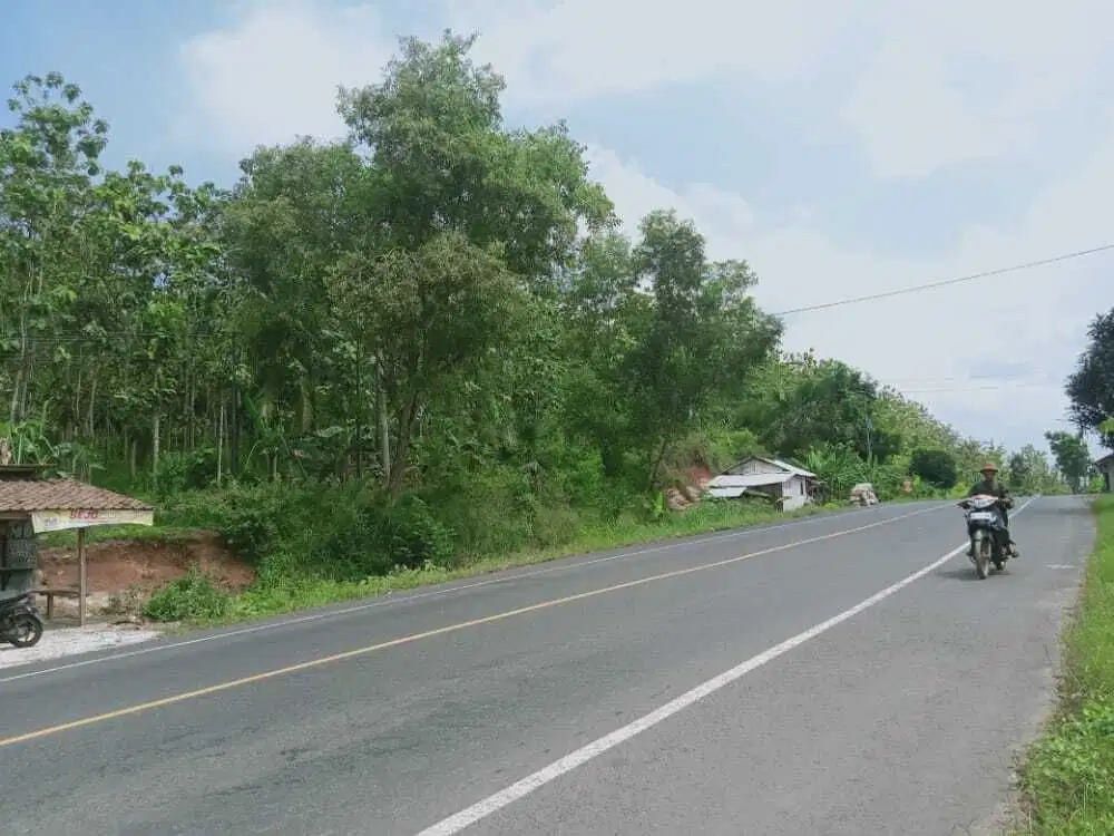 TANAH LUAS 50HA PINGGIR JALAN LINTAS SIDOMULYO LAMPUNG