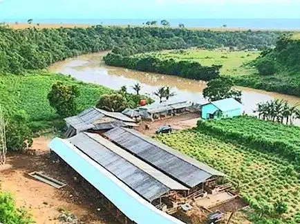 Lahan Di Labangka Sumbawa Nusa Tenggara Barat