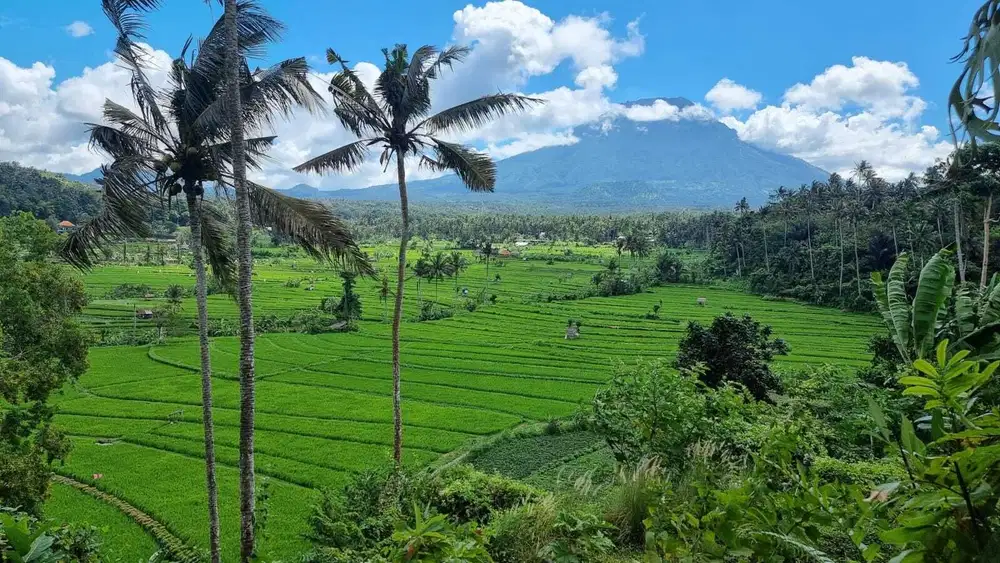 LAND FOR SALE WITH GOOD VIEW AT KARANGASEM