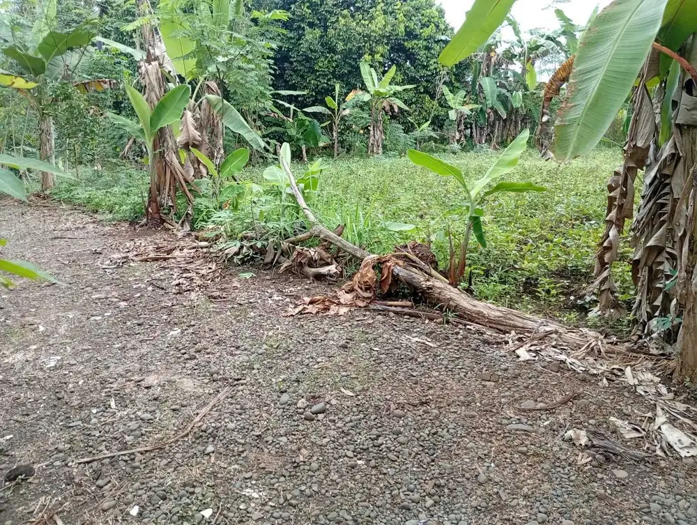 Tanah kosong boleh nyempil Dekat RSUD Goeteng Wirasana Purbalingga