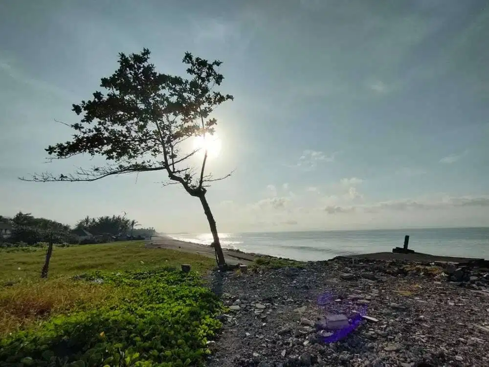 TANAH BEACHFRONT LOS PANTAI SIZE KECIL DI KLUNGKUNG