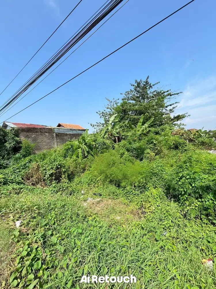 TEGAL MARGADANA TANAH PINGGIR JALAN PANTURA LUAS JUAL MURAH