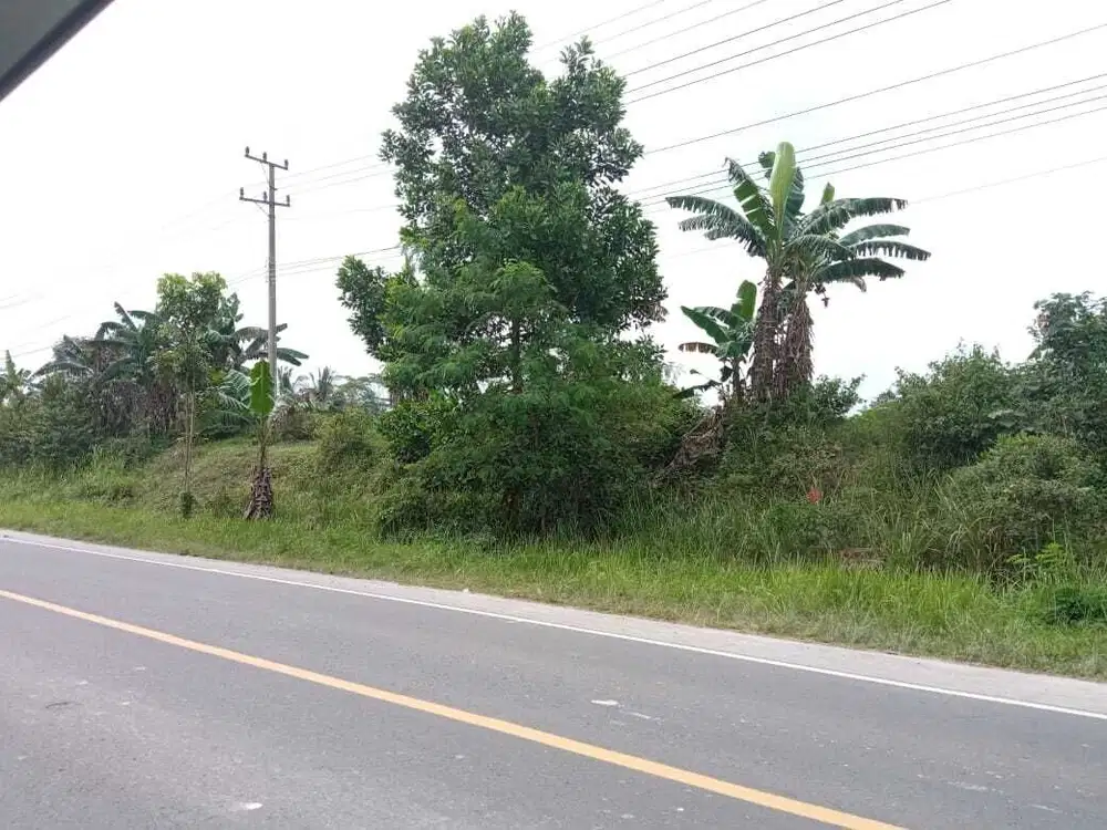 Jual Tanah di Ir Sutami Lampung Selatan