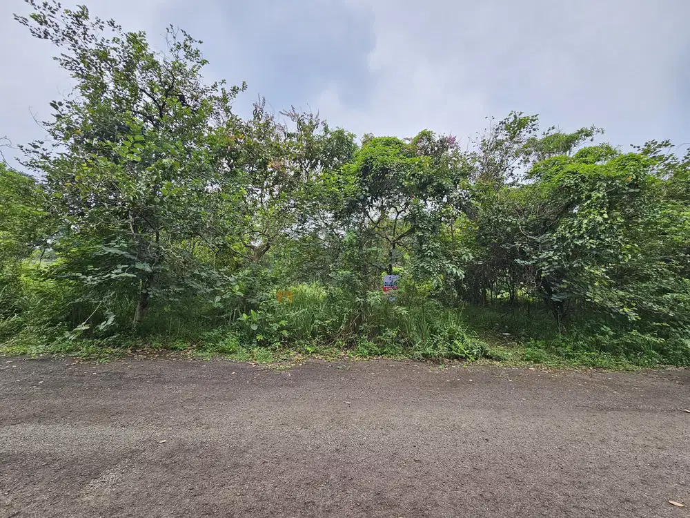 For Sale Kavling Golf Permata Sentul, View Lapangan Golf