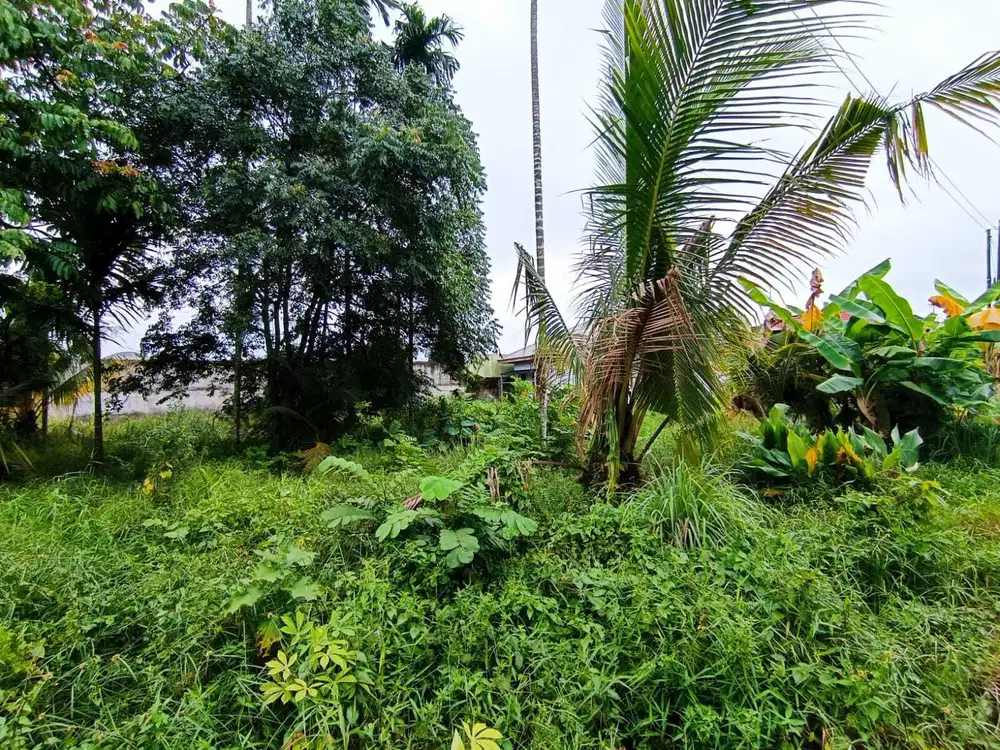 TANAH MURAH PUSAT KOTA DEKAT JL SOEKARNO HATTA PEKANBARU