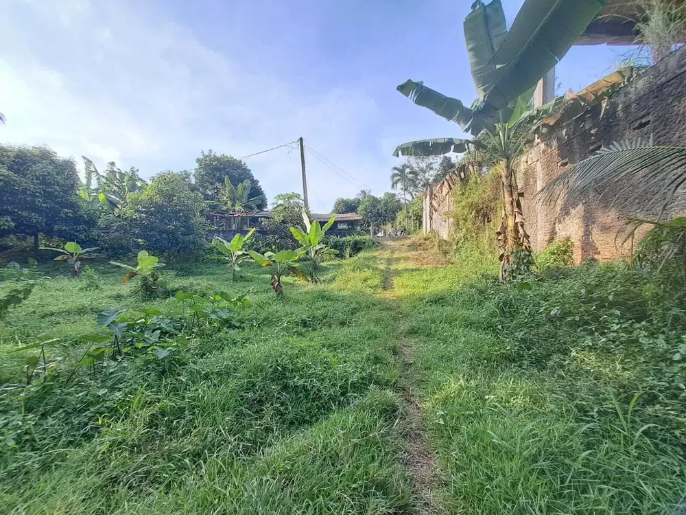 Tanah murah luas dibawah pasaran Curug gunung sindur SHM