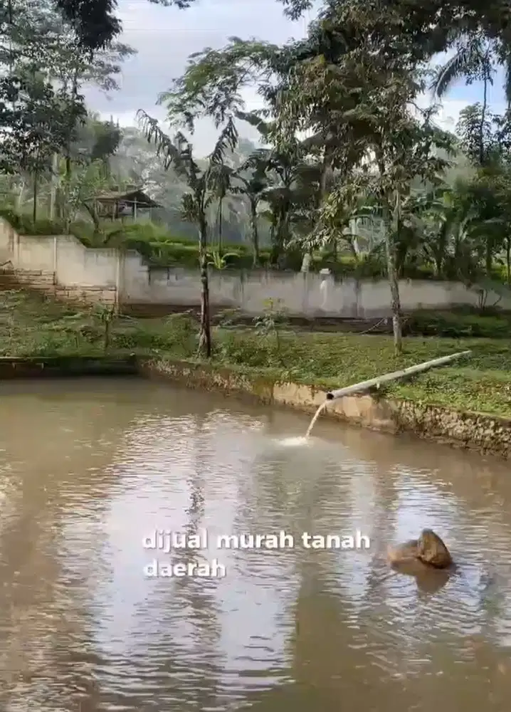 Tanah 5000 m sudah ada rumah dan kolam di Pandeglang Banten