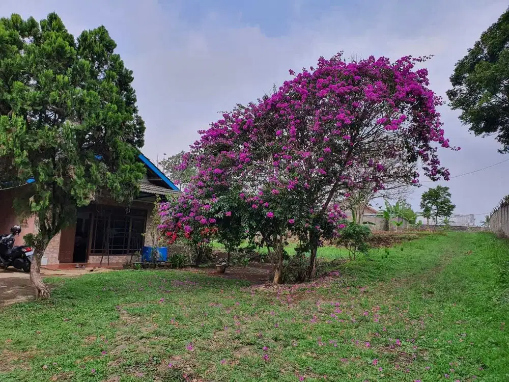 Tanah Mainroad Parakan Muncang sudah dibenteng luas 3520m2