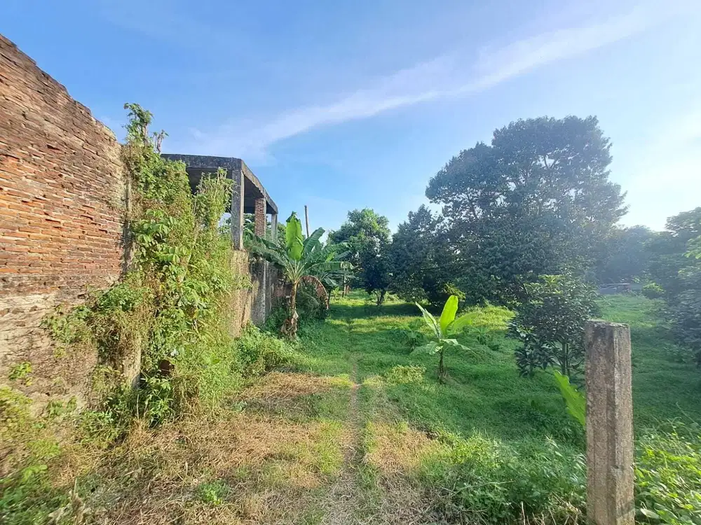 Tanah dibawah harga pasaran Curug gunung Sindur Bogor SHM