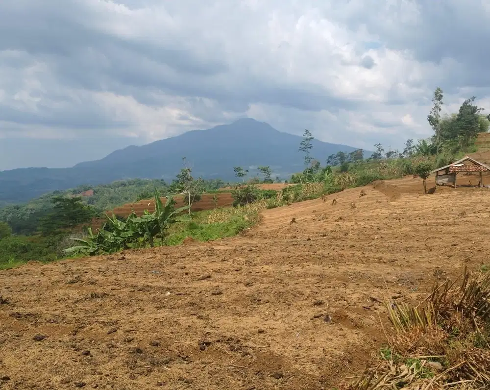 Tanah Satu Hamparan Tanjung Medar Perbatasan Sumedang Arah Subang
