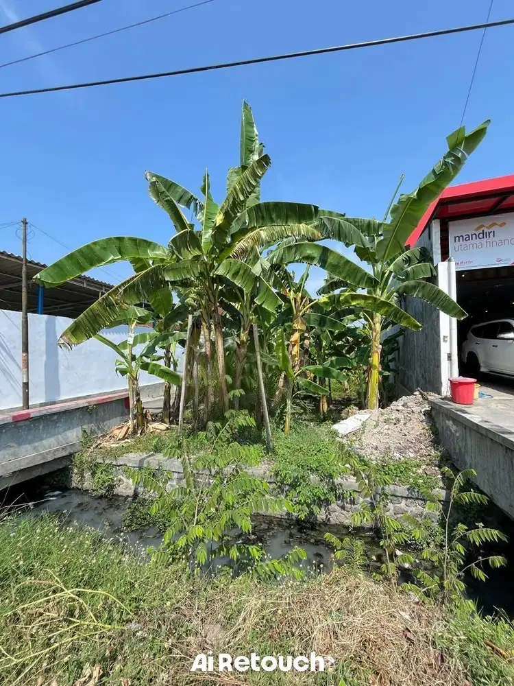TEGAL MARGADANA TANAH PINGGIR JALAN PANTURA LUAS JUAL MURAH