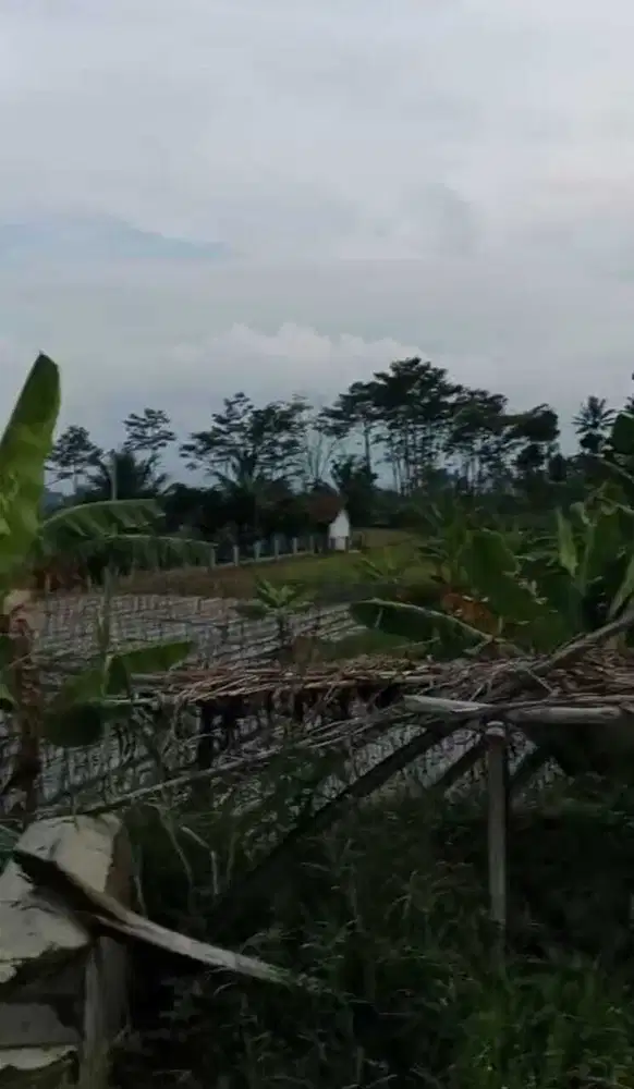 Tanah Hook 1.484m² di Tarogong Garut – View Kota & Gunung