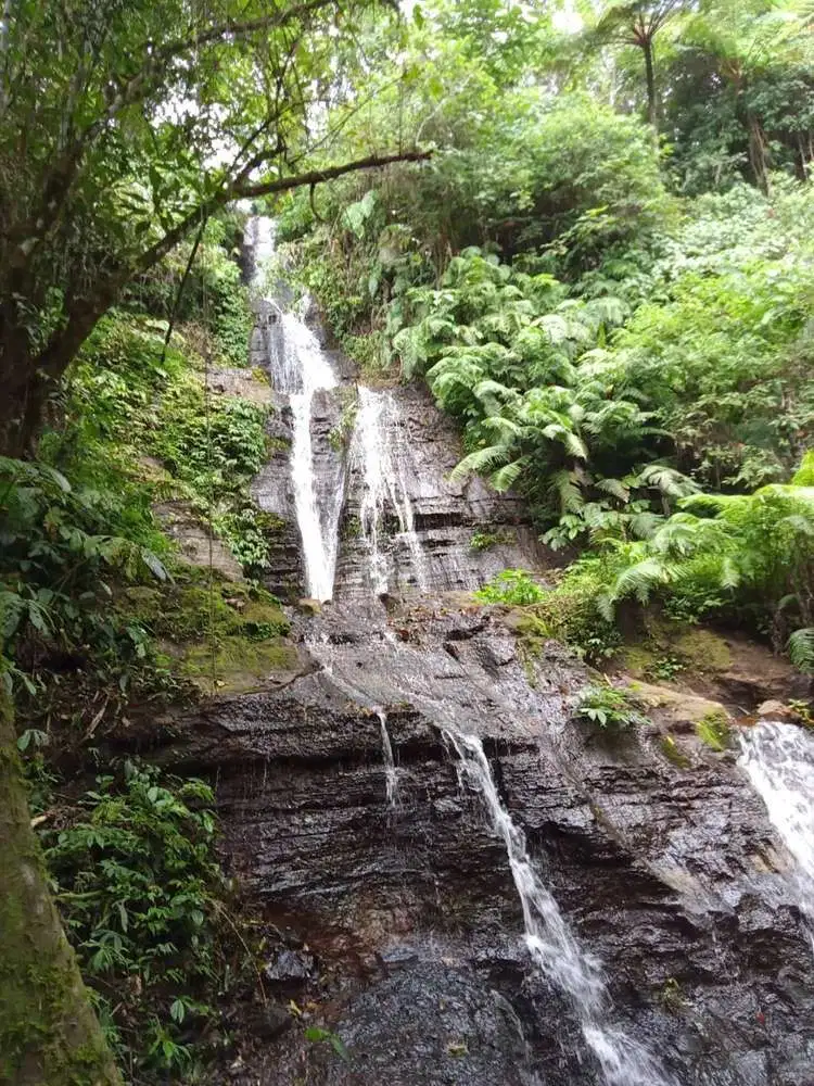DIJUAL TANAH AIR TERJUN DAN MATA AIR BULELENG