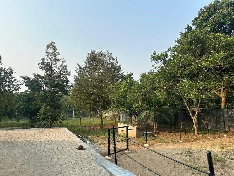 jual Kebun Duren dan Villa Kota Serang Adam