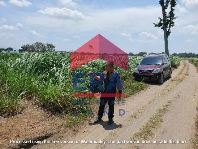 Dijual Tanah Lelang di Desa Cendono Kandat, Kediri