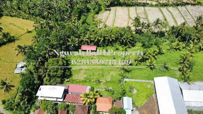 Disewakan Tanah Murah Luas 30 Are View Sawah Ubud