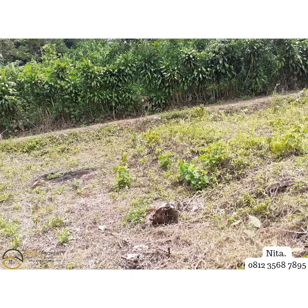 Yuk Investasi Tanah Luas Kawasan Strategis Sukabumi Only 500jt