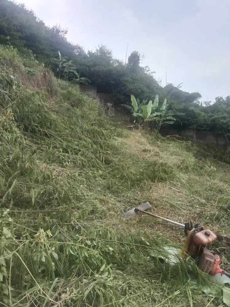 Dijual cepat Tanah di Jalan.CIpaku Indah