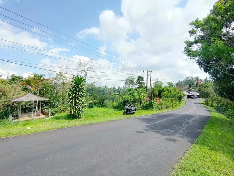 Dijual Tanah Di Jalan Utama Pupuan