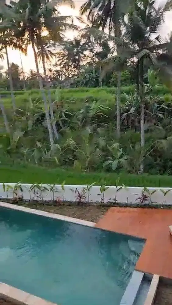 Villa 3 Kamar Tidur di Pejeng Gianyar Dengan View Sawah