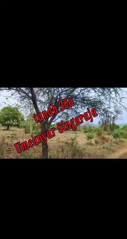Dijual Tanah di pinggir Jln pantai Umeanyar Singaraja Bali