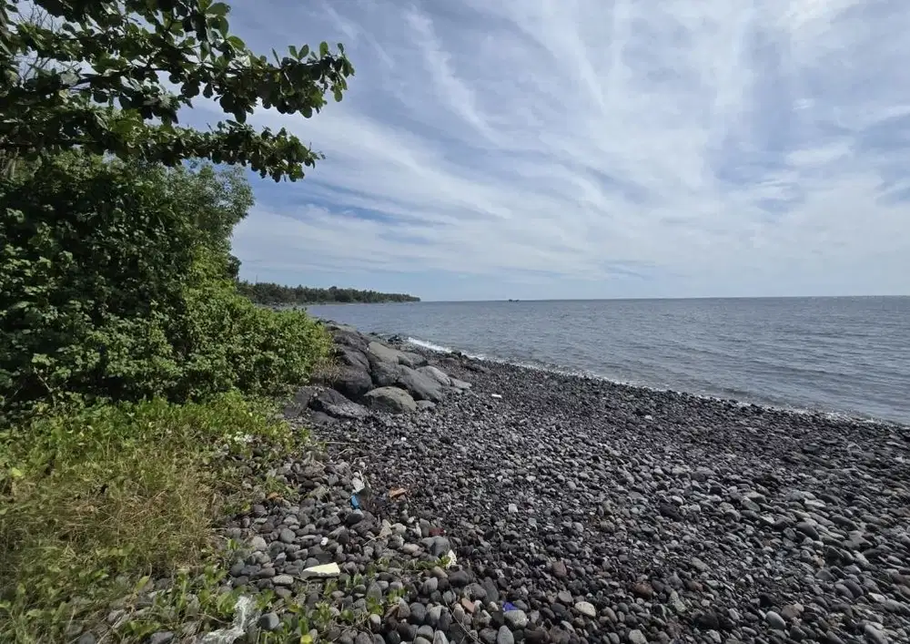 Dijual tanah los patai di bali utara