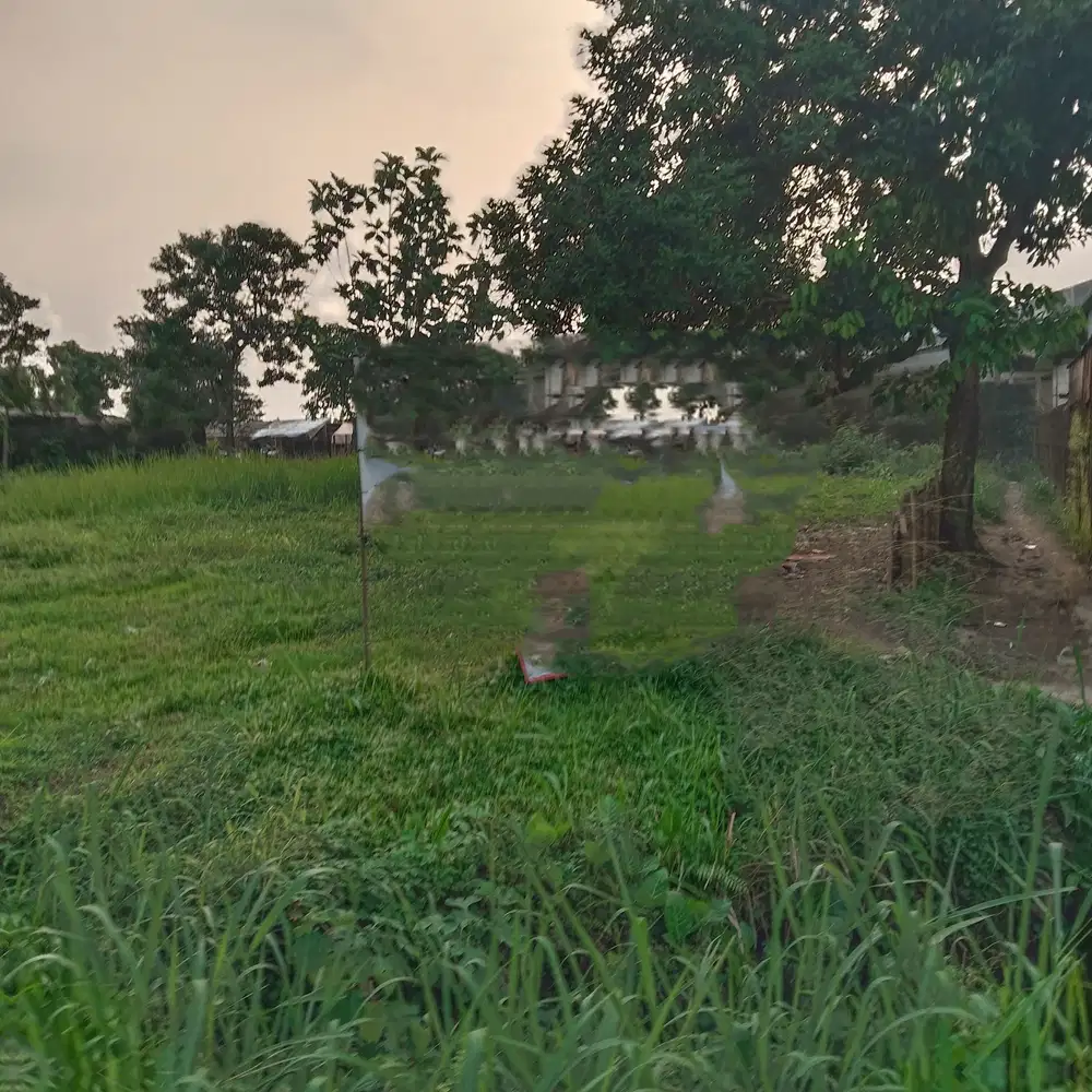 DIJUAL TANAH LUAS DAN DATAR DI JALAN KAPTEN YUSUF BOGOR