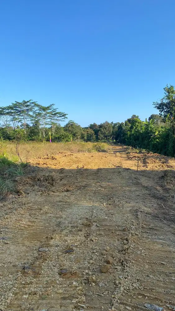 Tanah Syariah Murah Strategis Disamping STIKES Batara Guru WOTU