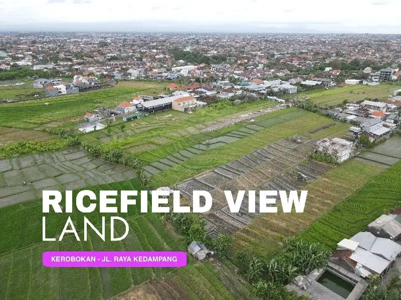 DISEWAKAN TANAH KAVLING LOKASI JL. KEDAMPANG -  KEROBOKAN